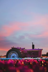 Tractor in a field of flowers. Oregon advertising strategies prize authenticity above all else.