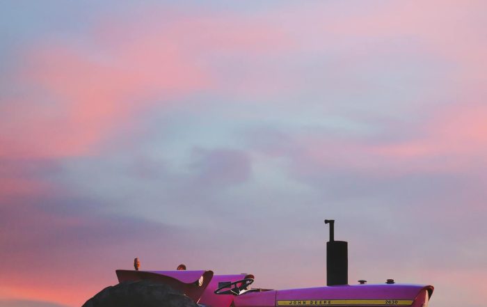 Tractor in a field of flowers. Oregon advertising strategies prize authenticity above all else.